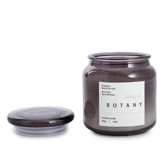 plant gift delivery melbourne | plant delivery online | indoor plants gifts | indoor plants delivery | Botany seasalt & rose scented candle | gift delivery melbourne | plant gift hampers melbourne | plant delivery melbourne | potted plants delivered melbourne | house plant gift delivery 