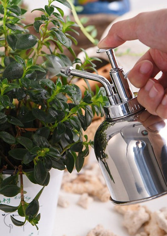 plant delivery Melbourne | potted plants online | plant mister spray