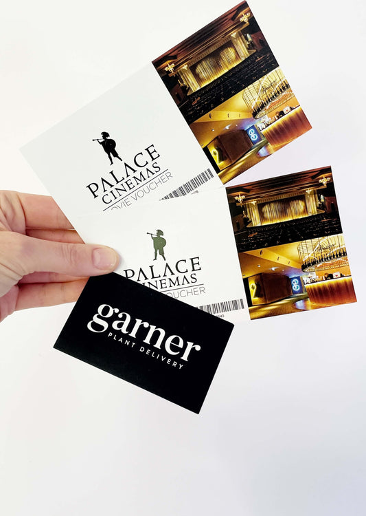 Palace Cinema Movie Ticket Gifts Delivered for Christmas. Add movie tickets with your plant gift delivery for Christmas this year. Movies tickets to any movie of your choice